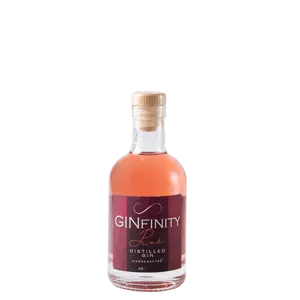 GINfinity Pink Gin 40,45% 200ml