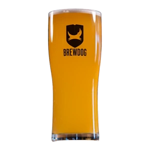 pohár BrewDog Pint 500ml