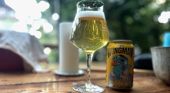 Wingman - The Eagle has landed