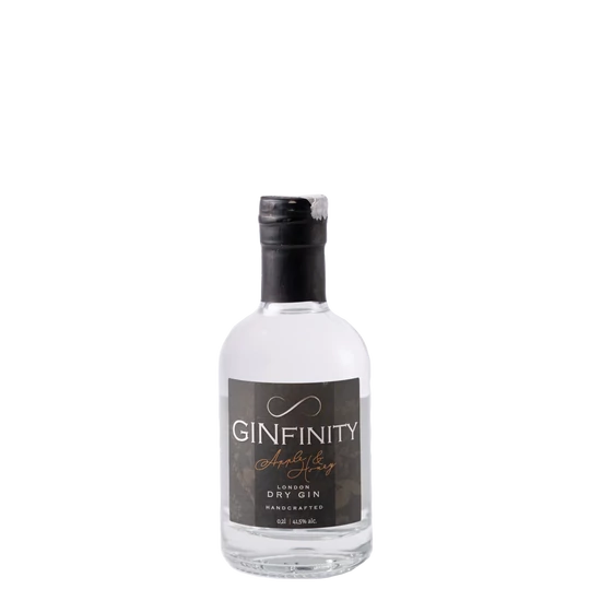 GINfinity Apple&Honey Gin 41,5% 200ml