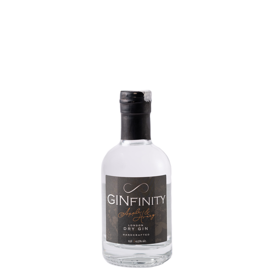 GINfinity Apple&Honey Gin 41,5% 200ml