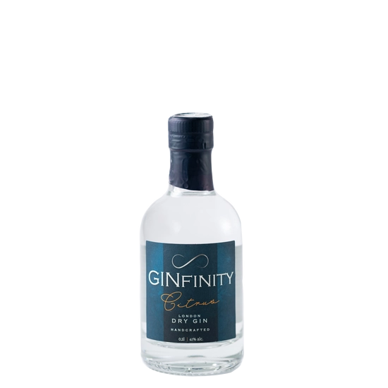 GINfinity Citrus Gin 41% 200ml