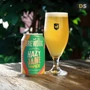 Kép 3/3 - BrewDog Hazy Jane Tropical NEIPA doboz 5% 330ml DRS