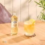 Kép 3/3 - Franklin & Sons Ginger Ale 200ml DRS