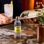 Kép 3/3 - Franklin & Sons Premium Indian Tonic Water 200ml DRS