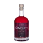 Kép 1/4 - GINfinity Pink Gin 40,45% 500ml