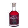 Kép 1/3 - GINfinity Pink Gin 40,45% 500ml