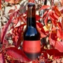 Kép 3/4 - Pohjala Emberwood üveg 8% 330ml DRS