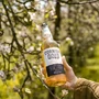 Kép 2/2 - Healeys Gold Cider 4,5% 500ml DRS