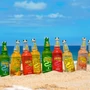 Kép 2/2 - Rattler Mango Cider 3,4% 500ml DRS