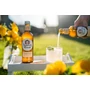 Kép 2/3 - Summerhouse Drinks Ginger Beer 330ml - Drink Station
